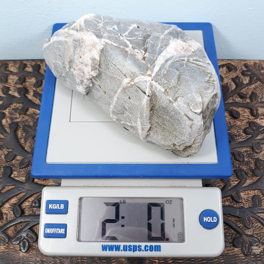 Maine 2 lb Banded Stone East Coast Beach Rock Raw Mineral Specimen Gray White